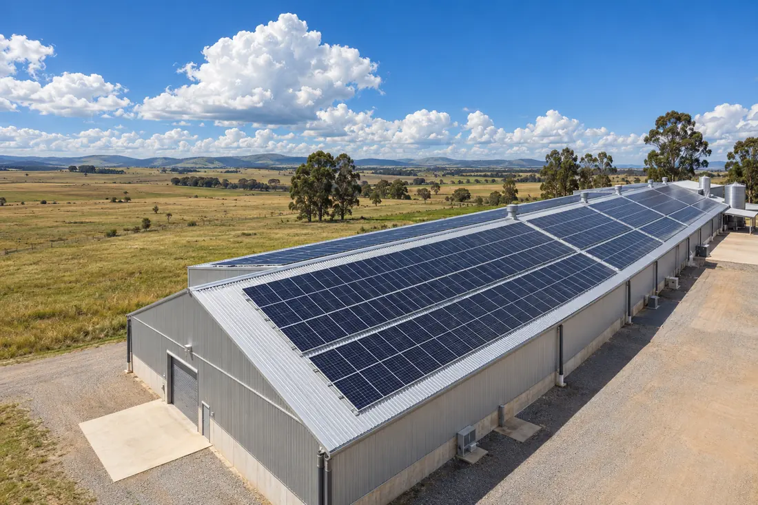 Solar panels covering a packhouse roof on the Mpumalanga highveld